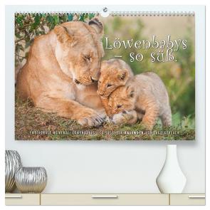 Emotionale Momente: Löwenbabys – so süß. (hochwertiger Premium Wandkalender 2024 DIN A2 quer), Kunstdruck in Hochglanz von Gerlach,  Ingo