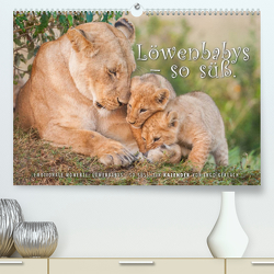 Emotionale Momente: Löwenbabys – so süß. (Premium, hochwertiger DIN A2 Wandkalender 2023, Kunstdruck in Hochglanz) von Gerlach,  Ingo