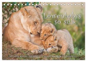 Emotionale Momente: Löwenbabys – so süß. (Tischkalender 2024 DIN A5 quer), CALVENDO Monatskalender von Gerlach,  Ingo
