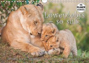 Emotionale Momente: Löwenbabys – so süß. (Wandkalender 2018 DIN A4 quer) von Gerlach,  Ingo