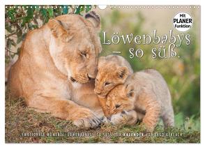 Emotionale Momente: Löwenbabys – so süß. (Wandkalender 2024 DIN A3 quer), CALVENDO Monatskalender von Gerlach,  Ingo