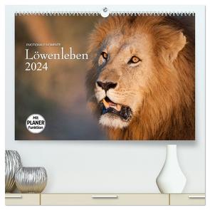 Emotionale Momente: Löwenleben (hochwertiger Premium Wandkalender 2024 DIN A2 quer), Kunstdruck in Hochglanz von Gerlach GDT,  Ingo