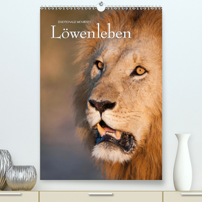 Emotionale Momente: Löwenleben (Premium, hochwertiger DIN A2 Wandkalender 2021, Kunstdruck in Hochglanz) von Gerlach GDT,  Ingo