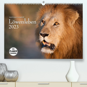Emotionale Momente: Löwenleben (Premium, hochwertiger DIN A2 Wandkalender 2023, Kunstdruck in Hochglanz) von Gerlach GDT,  Ingo