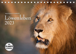 Emotionale Momente: Löwenleben (Tischkalender 2023 DIN A5 quer) von Gerlach GDT,  Ingo