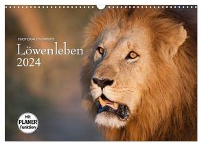 Emotionale Momente: Löwenleben (Wandkalender 2024 DIN A3 quer), CALVENDO Monatskalender von Gerlach GDT,  Ingo