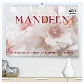 Emotionale Momente: Mandeln (hochwertiger Premium Wandkalender 2024 DIN A2 quer), Kunstdruck in Hochglanz von Gerlach,  Ingo