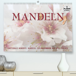 Emotionale Momente: Mandeln (Premium, hochwertiger DIN A2 Wandkalender 2022, Kunstdruck in Hochglanz) von Gerlach,  Ingo