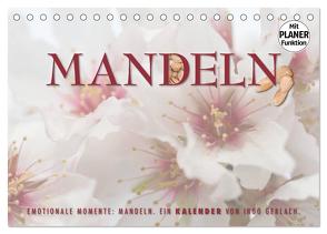 Emotionale Momente: Mandeln (Tischkalender 2024 DIN A5 quer), CALVENDO Monatskalender von Gerlach,  Ingo