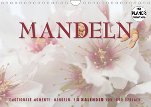 Emotionale Momente: Mandeln (Wandkalender 2022 DIN A4 quer) von Gerlach,  Ingo