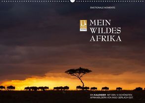 Emotionale Momente: Mein wildes Afrika (Wandkalender 2019 DIN A2 quer) von Gerlach GDT,  Ingo
