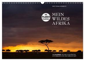 Emotionale Momente: Mein wildes Afrika (Wandkalender 2024 DIN A3 quer), CALVENDO Monatskalender von Gerlach GDT,  Ingo