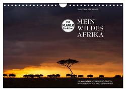 Emotionale Momente: Mein wildes Afrika (Wandkalender 2024 DIN A4 quer), CALVENDO Monatskalender von Gerlach GDT,  Ingo