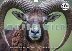 Emotionale Momente: Muffelwild. (Wandkalender 2019 DIN A4 quer) von Gerlach,  Ingo