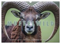 Emotionale Momente: Muffelwild. (Wandkalender 2024 DIN A3 quer), CALVENDO Monatskalender von Gerlach,  Ingo