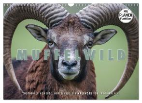 Emotionale Momente: Muffelwild. (Wandkalender 2024 DIN A3 quer), CALVENDO Monatskalender von Gerlach,  Ingo