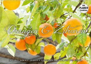 Emotionale Momente: Orangen und Zitronen. (Wandkalender 2023 DIN A2 quer) von Gerlach,  Ingo
