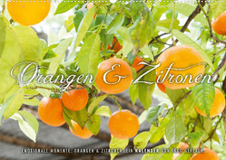 Emotionale Momente: Orangen & Zitronen. (Wandkalender 2023 DIN A2 quer) von Gerlach,  Ingo