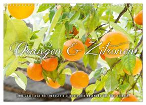 Emotionale Momente: Orangen & Zitronen. (Wandkalender 2024 DIN A3 quer), CALVENDO Monatskalender von Gerlach,  Ingo