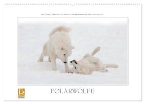 Emotionale Momente: Polarwölfe. (Wandkalender 2024 DIN A2 quer), CALVENDO Monatskalender von Gerlach GDT,  Ingo