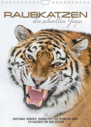 Emotionale Momente: Raubkatzen – die schnellen Jäger. (Wandkalender 2023 DIN A4 hoch) von Gerlach,  Ingo