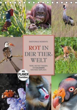Emotionale Momente: Rot in der Tierwelt (Tischkalender 2019 DIN A5 hoch) von Gerlach GDT,  Ingo