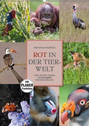 Emotionale Momente: Rot in der Tierwelt (Wandkalender 2018 DIN A2 hoch) von Gerlach GDT,  Ingo