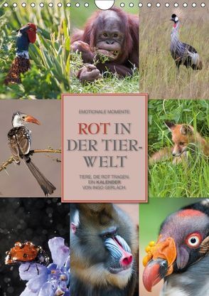 Emotionale Momente: Rot in der Tierwelt (Wandkalender 2018 DIN A4 hoch) von Gerlach GDT,  Ingo