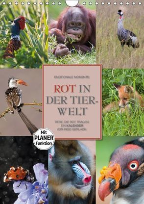 Emotionale Momente: Rot in der Tierwelt (Wandkalender 2019 DIN A4 hoch) von Gerlach GDT,  Ingo