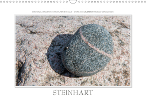 Emotionale Momente: Steinhart (Wandkalender 2020 DIN A3 quer) von Gerlach GDT,  Ingo