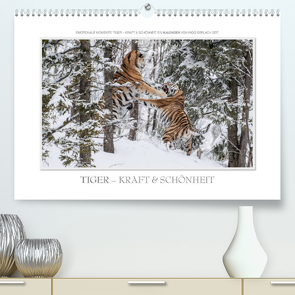 Emotionale Momente: Tiger – Kraft & Schönheit. / CH-Version (Premium, hochwertiger DIN A2 Wandkalender 2023, Kunstdruck in Hochglanz) von Gerlach GDT,  Ingo