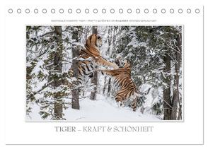 Emotionale Momente: Tiger – Kraft & Schönheit. / CH-Version (Tischkalender 2024 DIN A5 quer), CALVENDO Monatskalender von Gerlach GDT,  Ingo