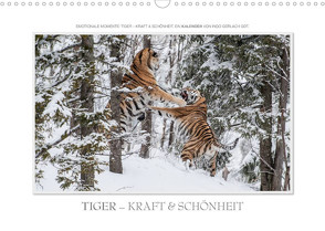 Emotionale Momente: Tiger – Kraft & Schönheit. (Wandkalender 2023 DIN A3 quer) von Gerlach GDT,  Ingo
