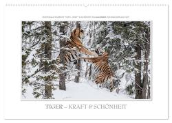 Emotionale Momente: Tiger – Kraft & Schönheit. (Wandkalender 2024 DIN A2 quer), CALVENDO Monatskalender von Gerlach GDT,  Ingo