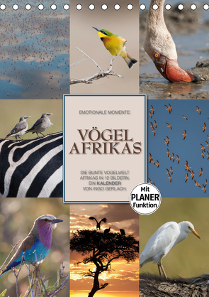 Emotionale Momente: Vögel Afrikas (Tischkalender 2021 DIN A5 hoch) von Gerlach GDT,  Ingo