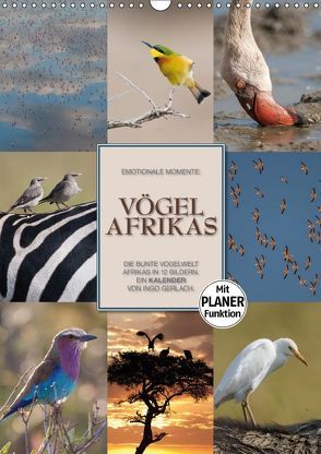 Emotionale Momente: Vögel Afrikas (Wandkalender 2018 DIN A3 hoch) von Gerlach GDT,  Ingo