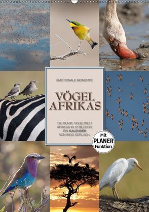 Emotionale Momente: Vögel Afrikas (Wandkalender 2019 DIN A2 hoch) von Gerlach GDT,  Ingo