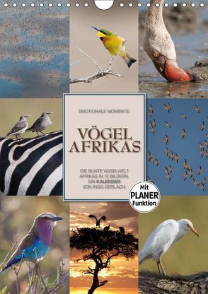 Emotionale Momente: Vögel Afrikas (Wandkalender 2019 DIN A4 hoch) von Gerlach GDT,  Ingo