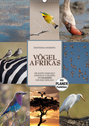 Emotionale Momente: Vögel Afrikas (Wandkalender 2020 DIN A2 hoch) von Gerlach GDT,  Ingo