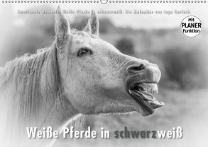 Emotionale Momente: Weiße Pferde in schwarzweiß. (Wandkalender 2019 DIN A2 quer) von Gerlach,  Ingo