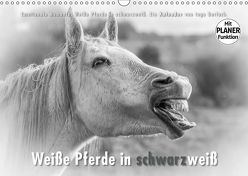 Emotionale Momente: Weiße Pferde in schwarzweiß. (Wandkalender 2019 DIN A3 quer) von Gerlach,  Ingo