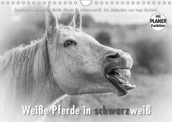 Emotionale Momente: Weiße Pferde in schwarzweiß. (Wandkalender 2019 DIN A4 quer) von Gerlach,  Ingo