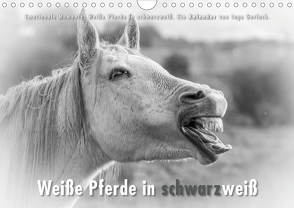 Emotionale Momente: Weiße Pferde in schwarzweiß. (Wandkalender 2021 DIN A4 quer) von Gerlach,  Ingo