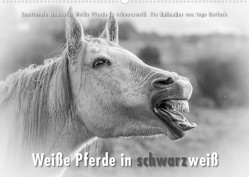 Emotionale Momente: Weiße Pferde in schwarzweiß. (Wandkalender 2023 DIN A2 quer) von Gerlach,  Ingo