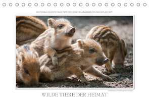 Emotionale Momente: Wilde Tiere der Heimat. (Tischkalender 2023 DIN A5 quer) von Gerlach GDT,  Ingo
