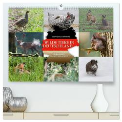 Emotionale Momente: Wilde Tiere in Deutschland (hochwertiger Premium Wandkalender 2024 DIN A2 quer), Kunstdruck in Hochglanz von Gerlach GDT,  Ingo