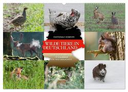Emotionale Momente: Wilde Tiere in Deutschland (Wandkalender 2024 DIN A2 quer), CALVENDO Monatskalender von Gerlach GDT,  Ingo
