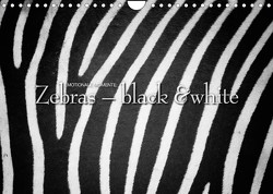 Emotionale Momente: Zebras – black & white. (Wandkalender 2023 DIN A4 quer) von Gerlach GDT,  Ingo