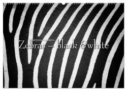 Emotionale Momente: Zebras – black & white. (Wandkalender 2024 DIN A2 quer), CALVENDO Monatskalender von Gerlach GDT,  Ingo