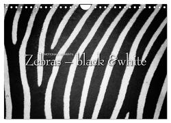 Emotionale Momente: Zebras – black & white. (Wandkalender 2024 DIN A4 quer), CALVENDO Monatskalender von Gerlach GDT,  Ingo